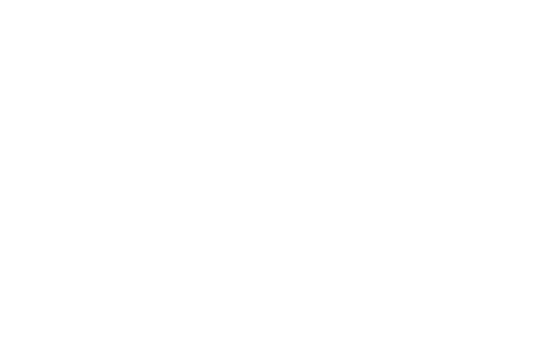 Style Group logo
