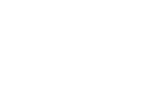 Style Group logo